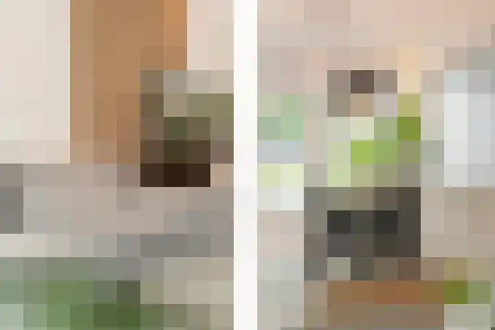 Nachtegaallaan 32 Ede thumbnail 7