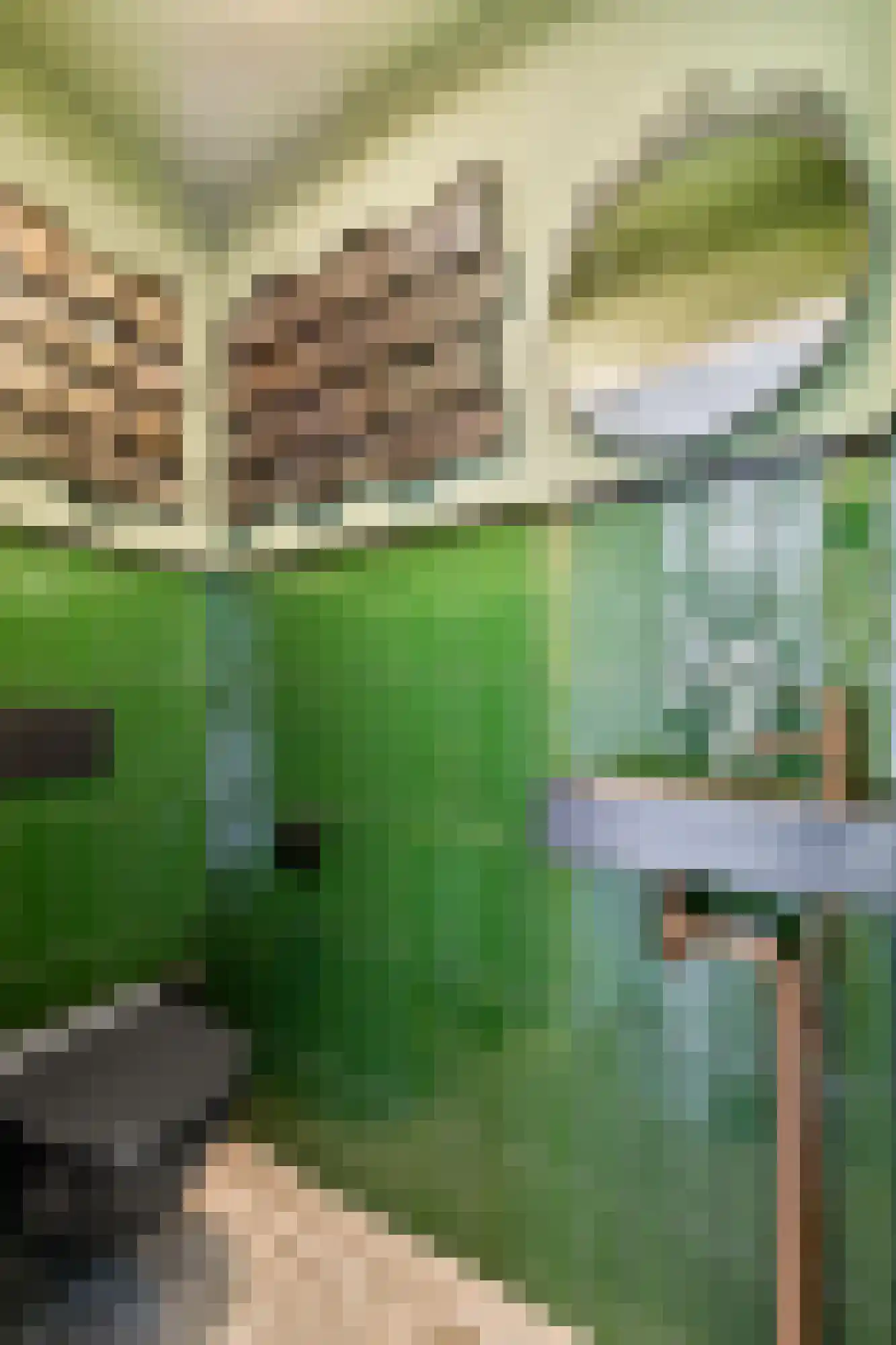 Nachtegaallaan 35 Vlaardingen thumbnail 16