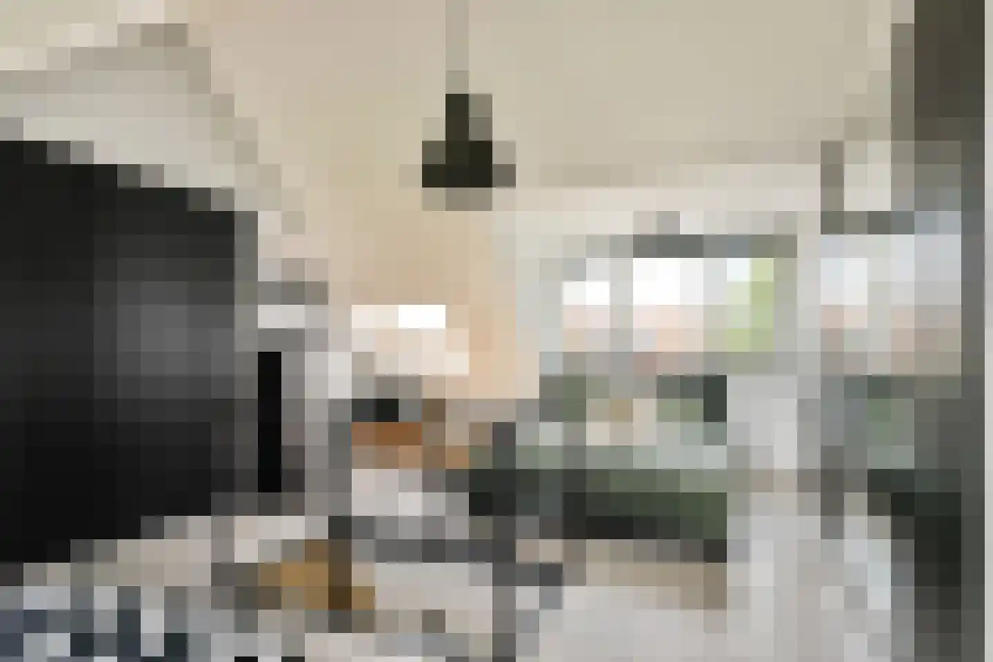 Nachtegaallaan 35 Vlaardingen thumbnail 28