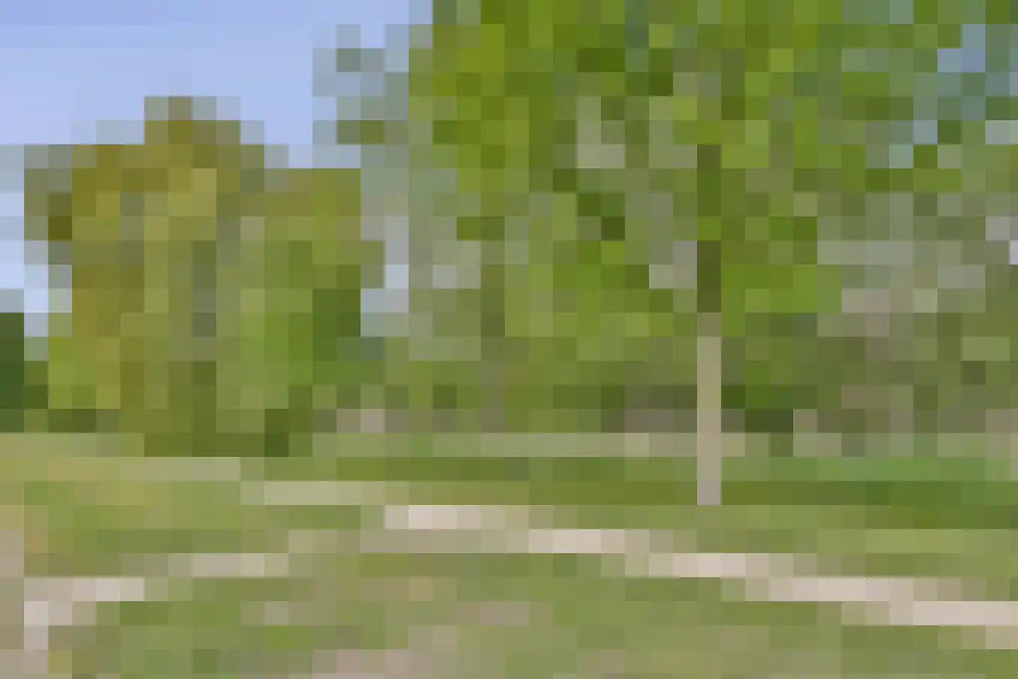 Nachtegaallaan 35 Vlaardingen thumbnail 31