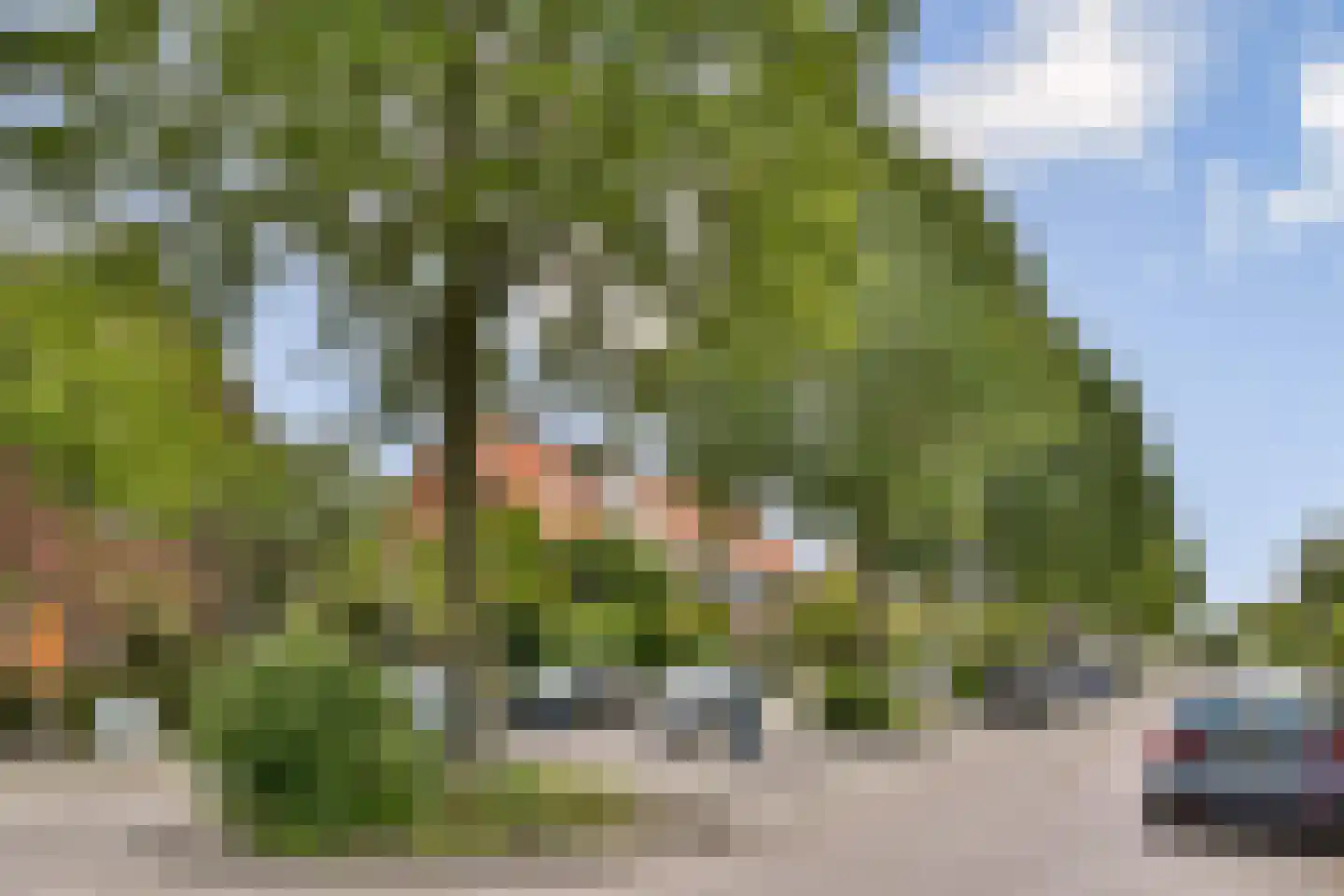 Nachtegaallaan 35 Vlaardingen thumbnail 32