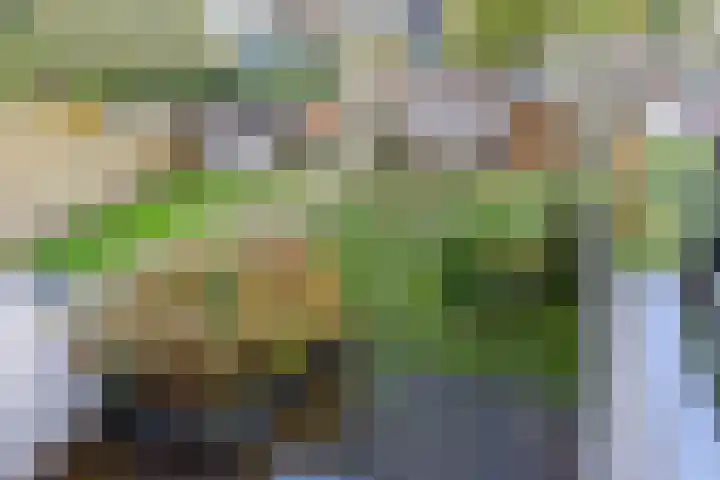 Nachtegaallaan 36 Anna Paulowna thumbnail 18