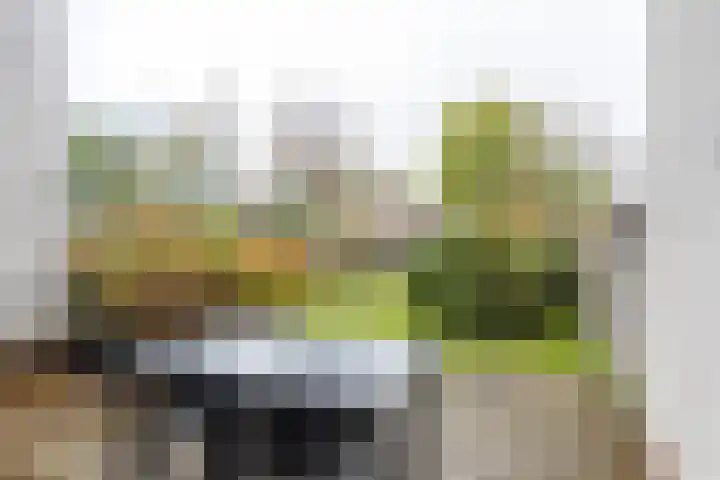 Nachtegaallaan 36 Anna Paulowna thumbnail 20