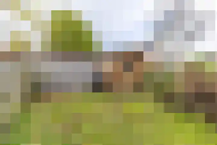 Nachtegaallaan 36 Anna Paulowna thumbnail 21