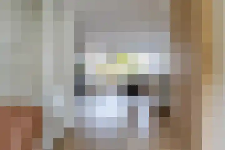 Nachtegaallaan 36 Anna Paulowna thumbnail 7