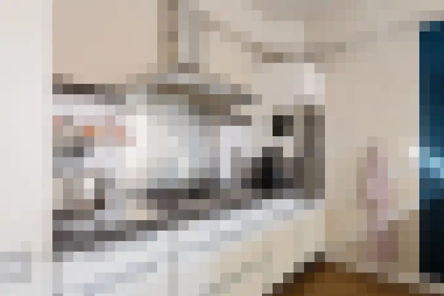 Nachtegaallaan 36 Oss thumbnail 14