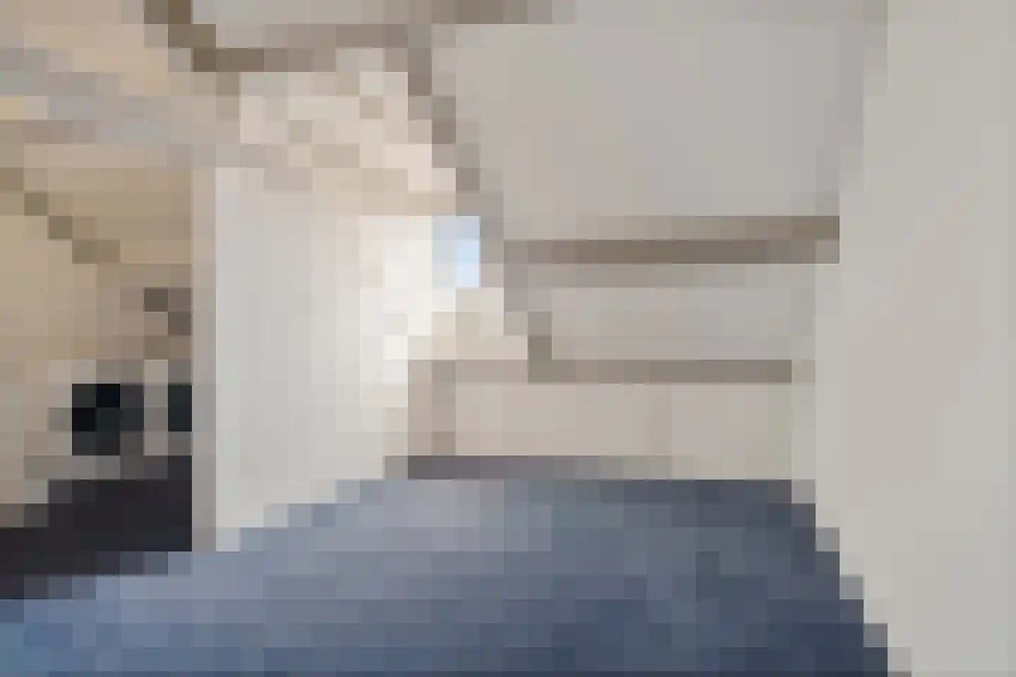 Nachtegaallaan 36 Oss thumbnail 27