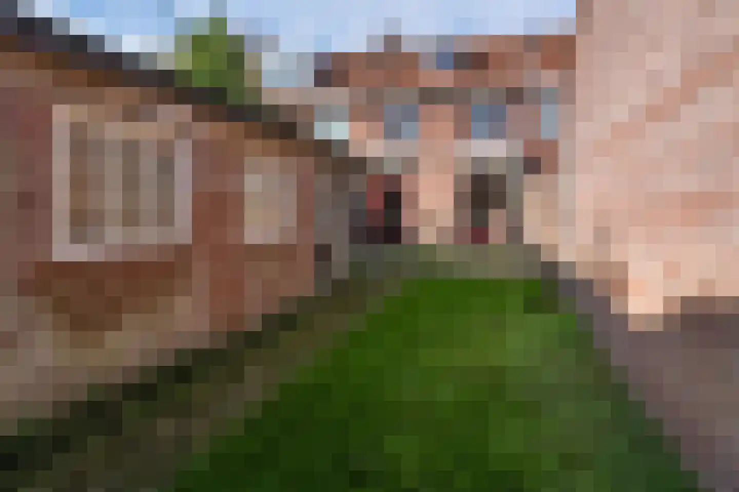 Nachtegaallaan 36 Oss thumbnail 29