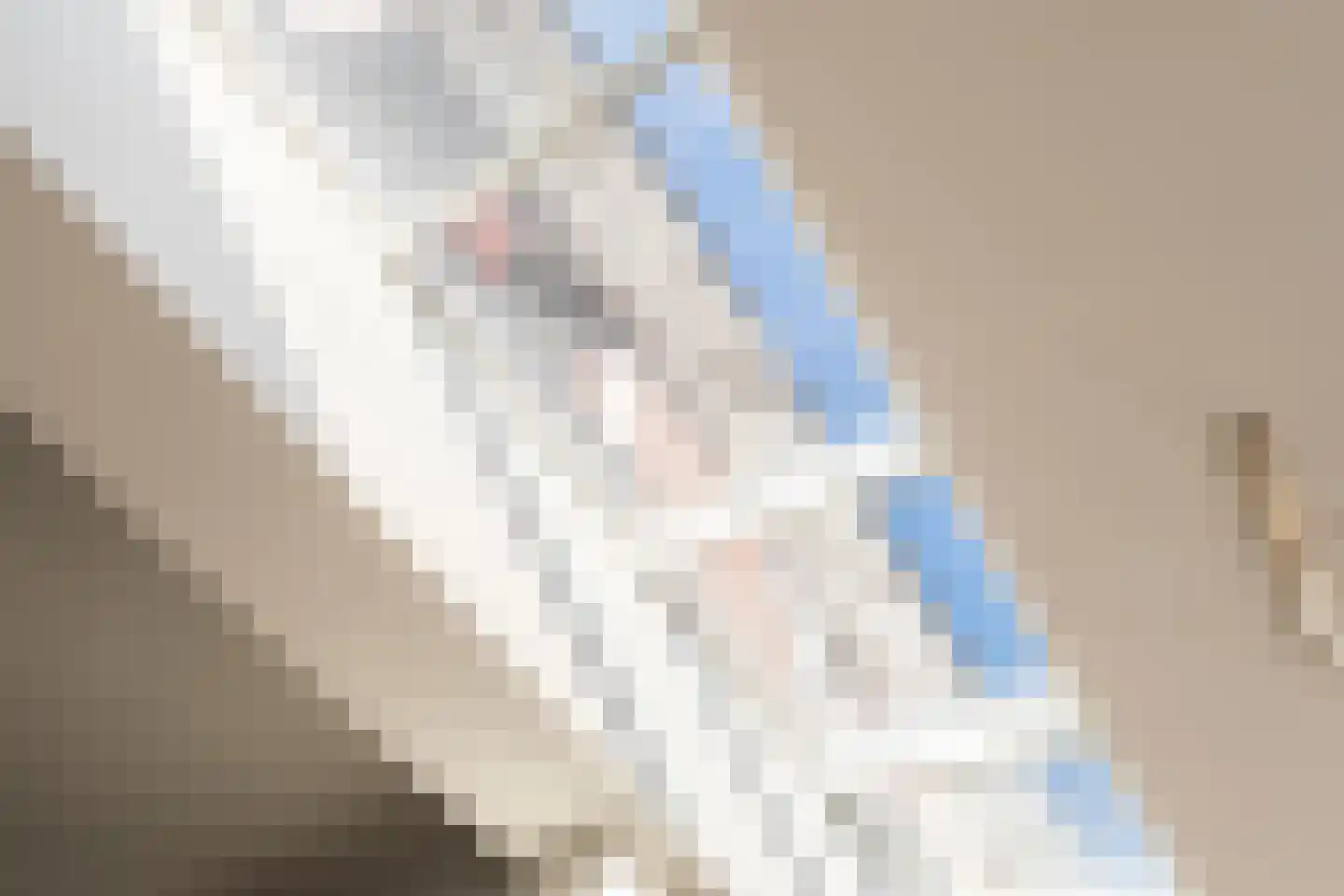 Nachtegaallaan 36 Oss thumbnail 5