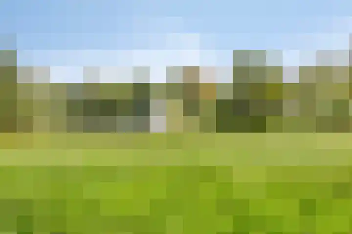 Nachtegaallaan 39 Beek en Donk thumbnail 24