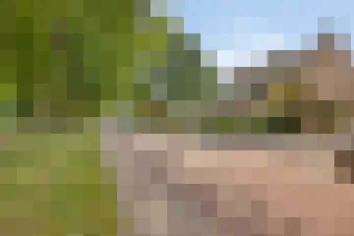 Nachtegaallaan 39 Beek en Donk thumbnail 25