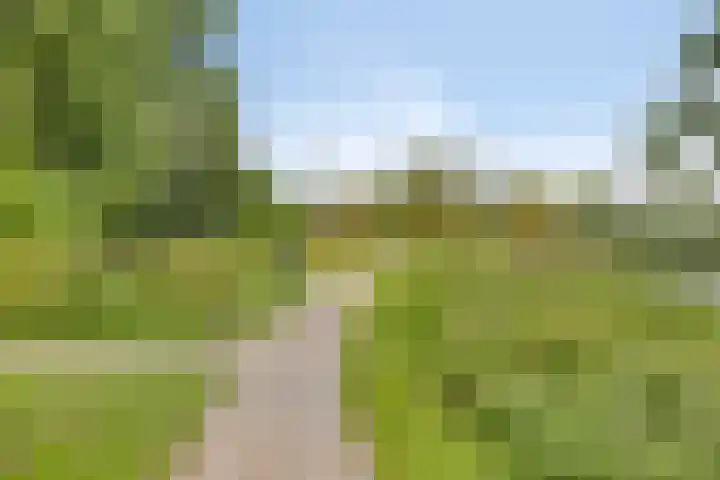 Nachtegaallaan 39 Beek en Donk thumbnail 26