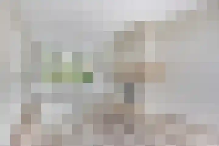 Nachtegaallaan 39 Beek en Donk thumbnail 5