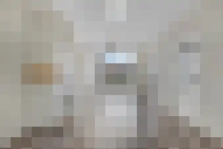 Nachtegaallaan 39 Beek en Donk thumbnail 6