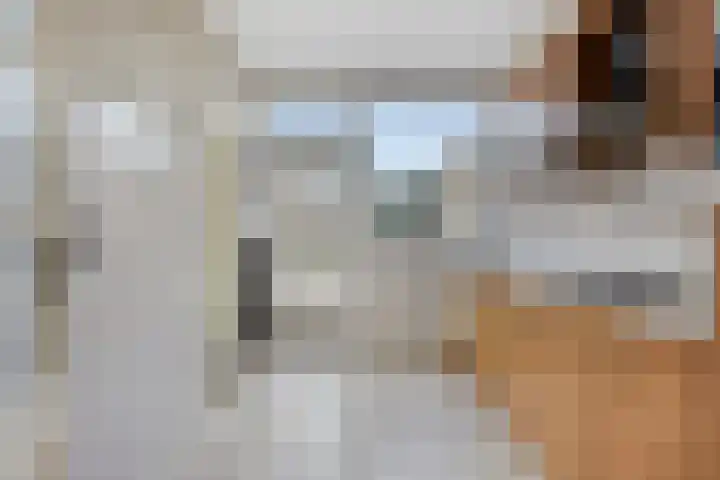 Nachtegaallaan 39 Beek en Donk thumbnail 7