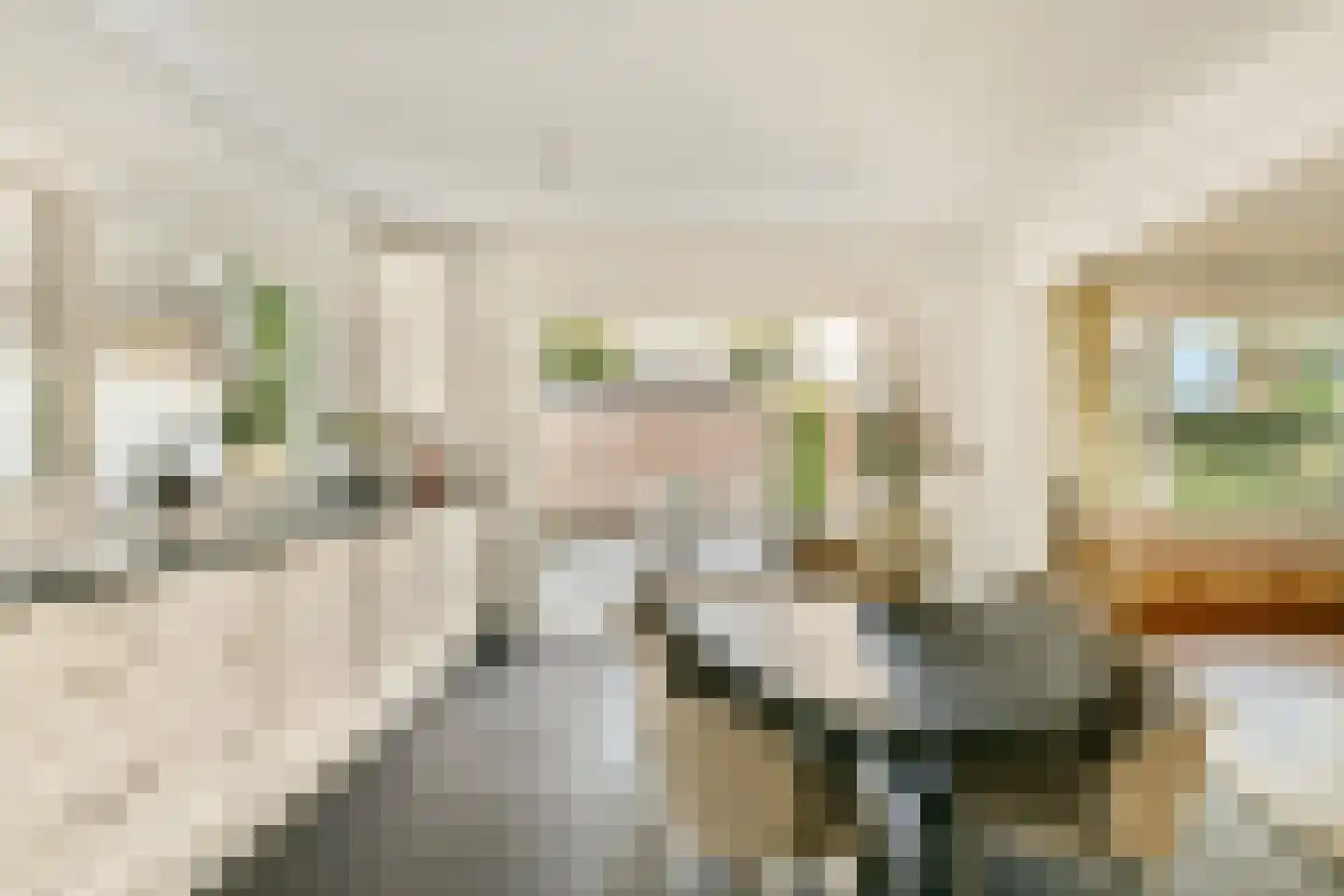 Nachtegaallaan 4 Baarn thumbnail 20