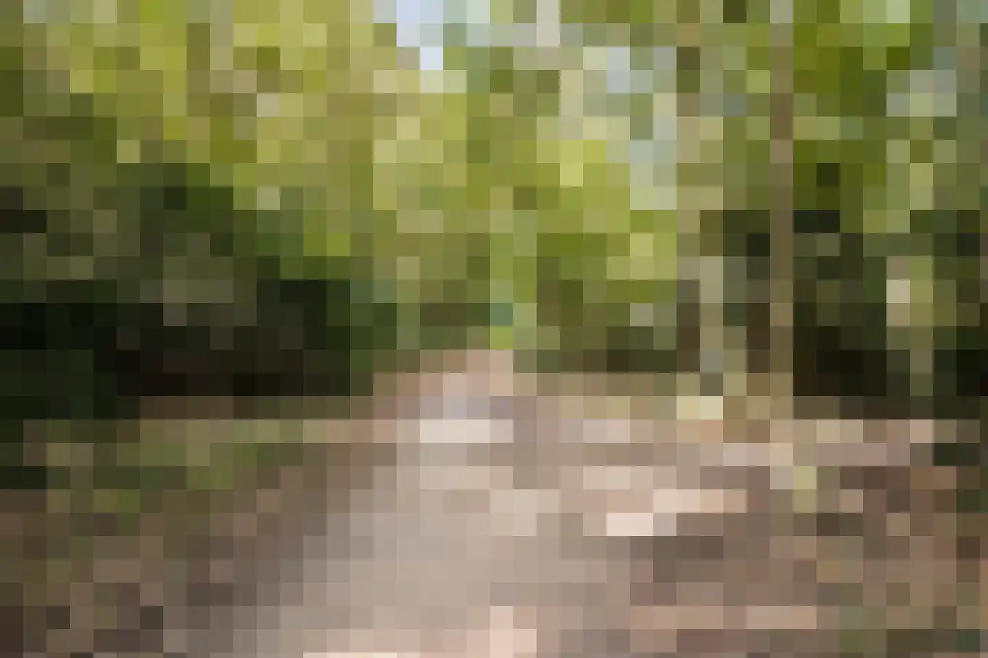 Nachtegaallaan 4 Baarn thumbnail 62