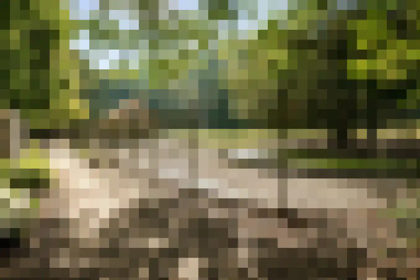 Nachtegaallaan 4 Baarn thumbnail 63