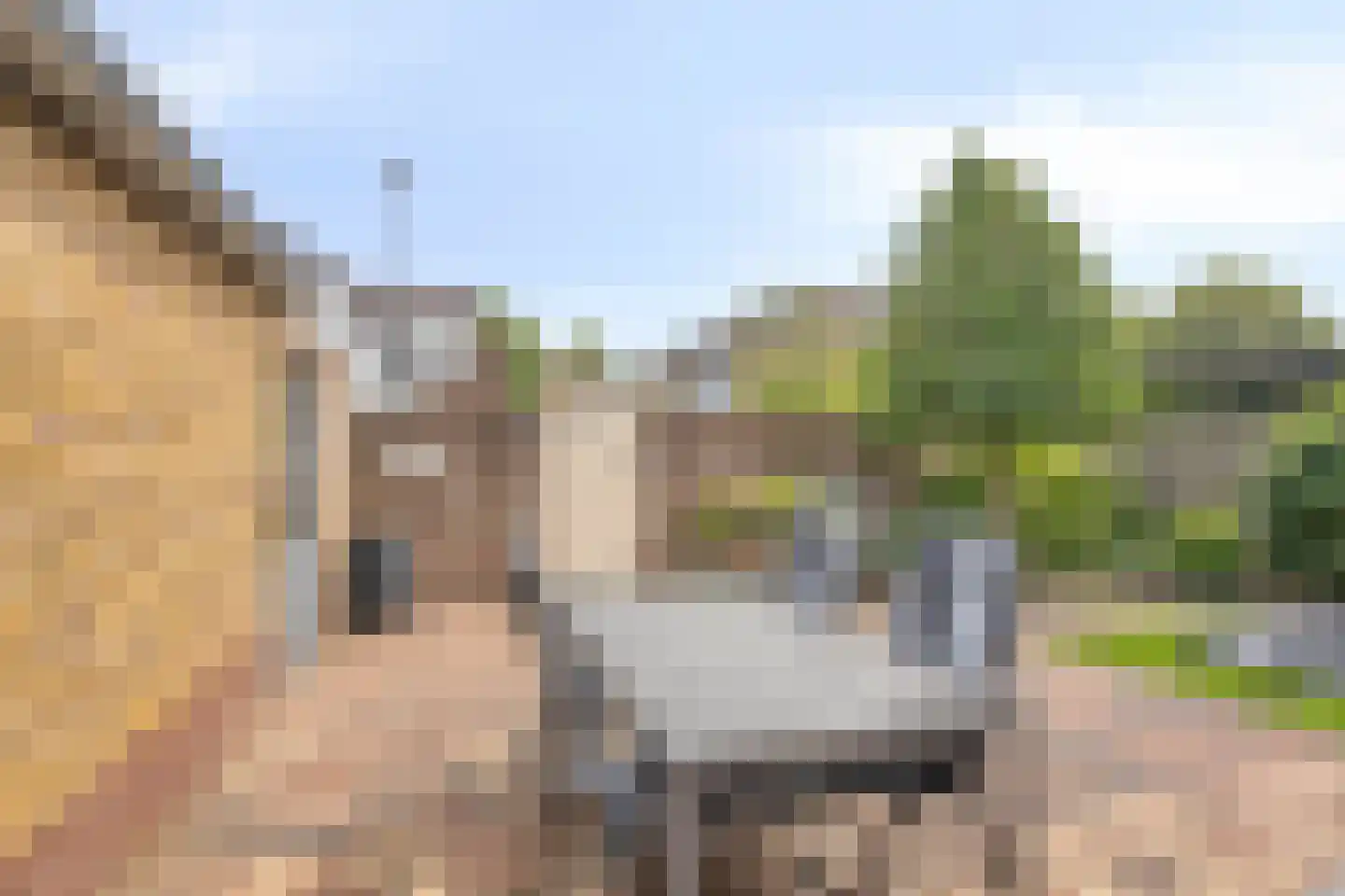 Nachtegaallaan 4 Scherpenzeel thumbnail 38
