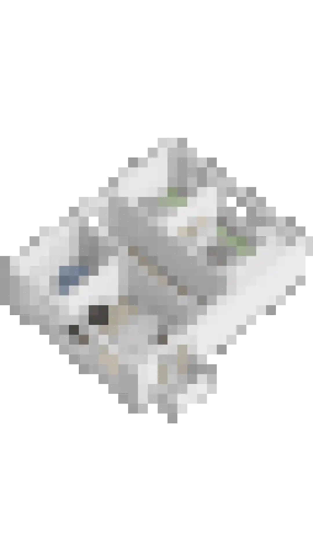 Nachtegaallaan 4 Scherpenzeel thumbnail 53