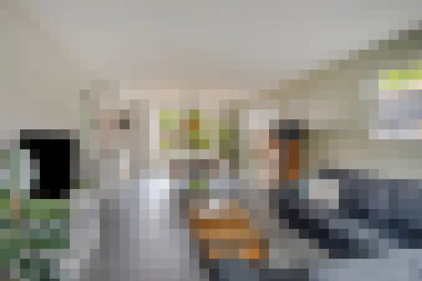 Nachtegaallaan 4 Scherpenzeel thumbnail 6