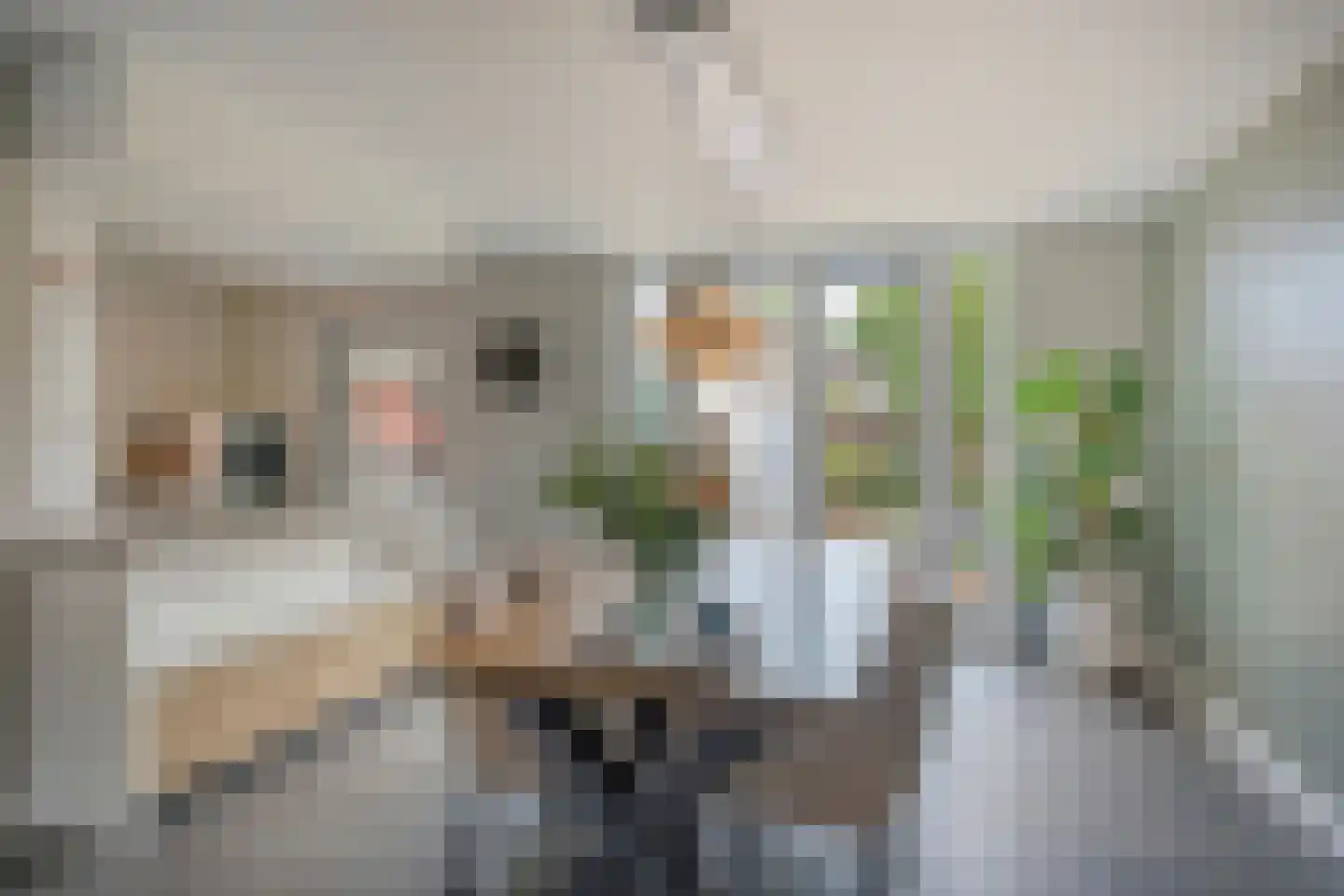 Nachtegaallaan 4 Scherpenzeel thumbnail 7