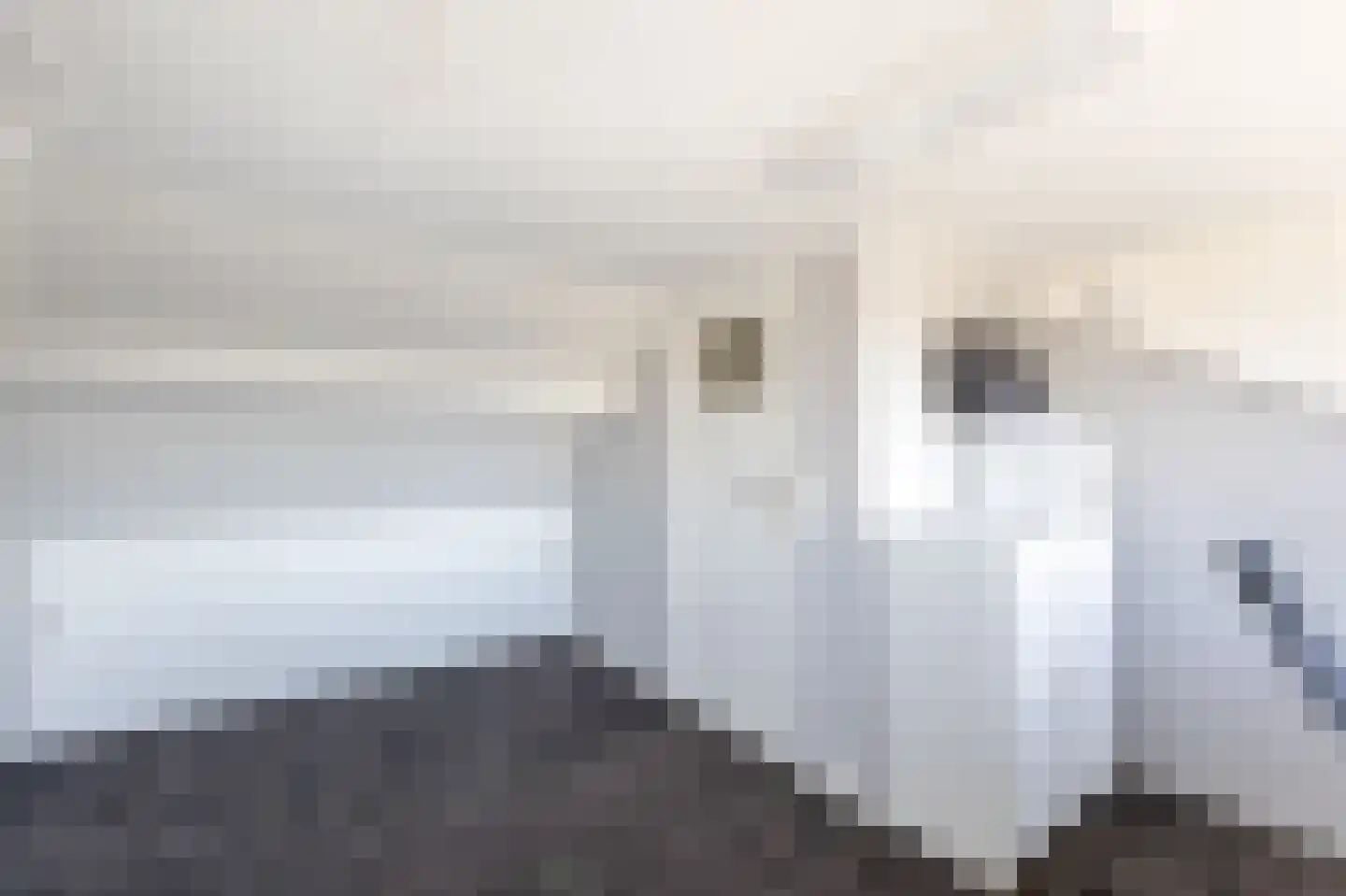 Nachtegaallaan 4 Sliedrecht thumbnail 18