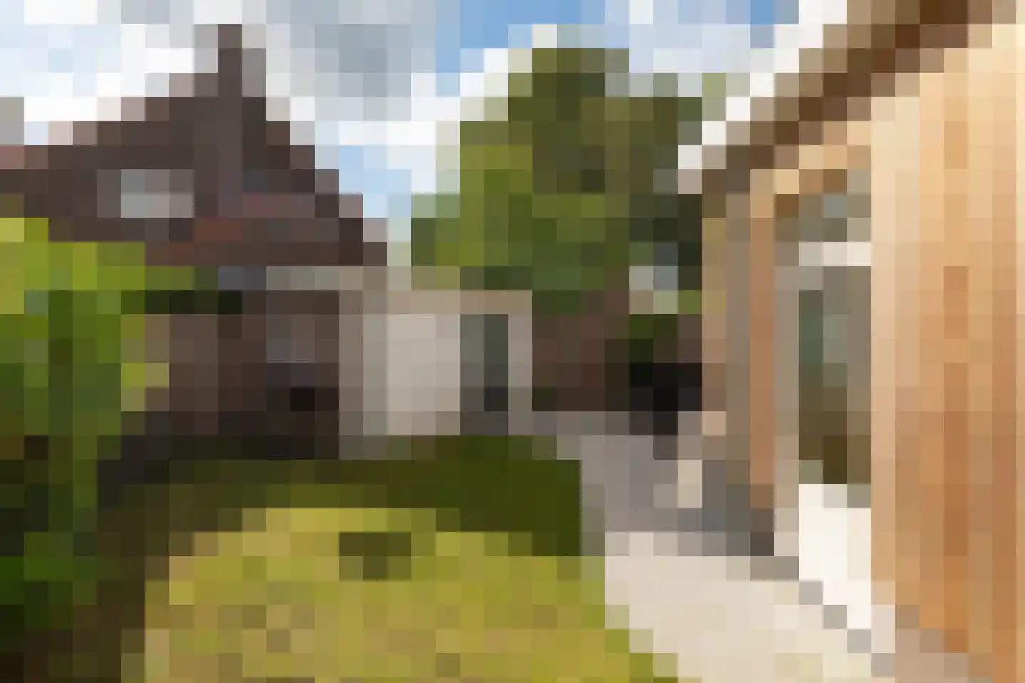 Nachtegaallaan 40 Baarn thumbnail 25