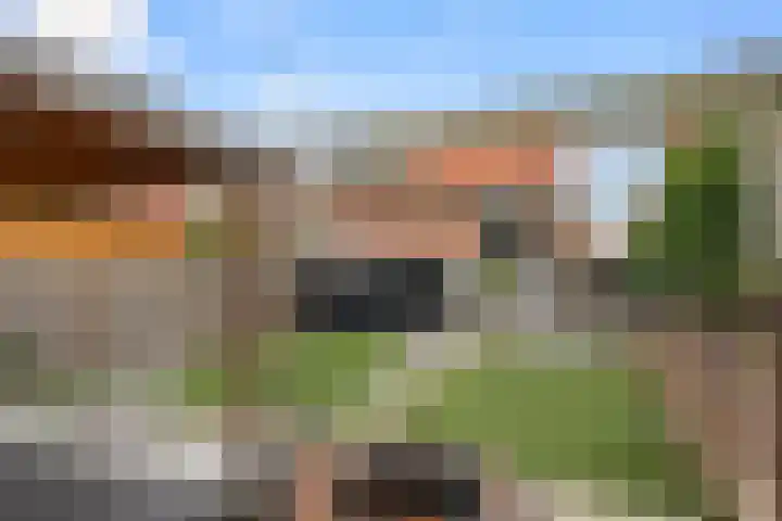 Nachtegaallaan 42 Ede thumbnail 16