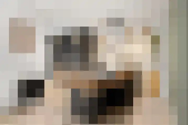 Nachtegaallaan 42 Ede thumbnail 28