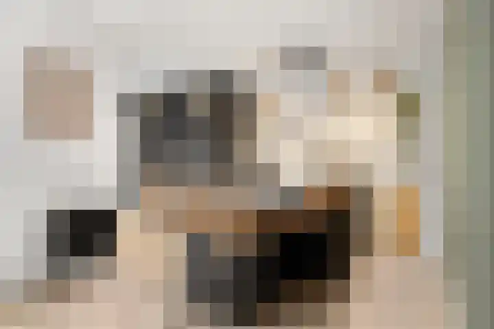 Nachtegaallaan 42 Ede thumbnail 4