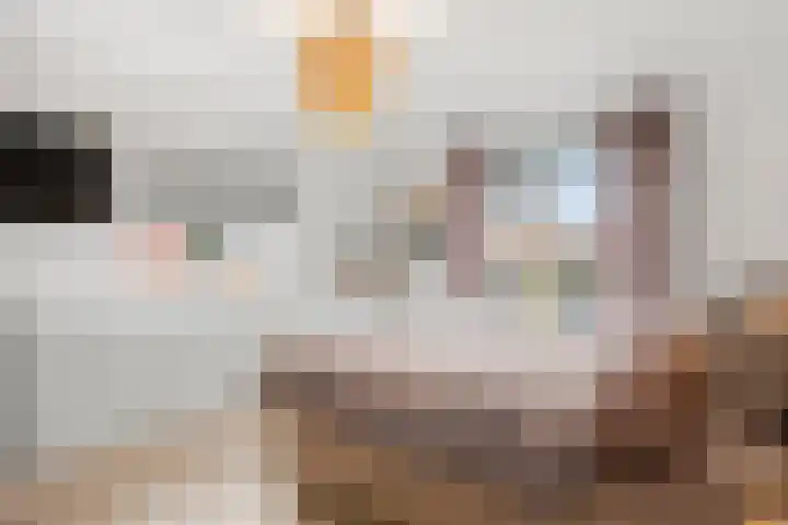 Nachtegaallaan 42 Ede thumbnail 41