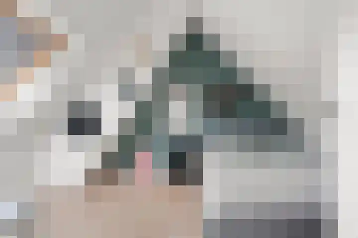 Nachtegaallaan 42 Ede thumbnail 52