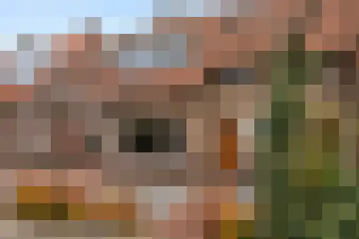 Nachtegaallaan 42 Ede thumbnail 8