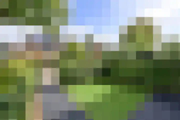 Nachtegaallaan 44 Bussum thumbnail 22