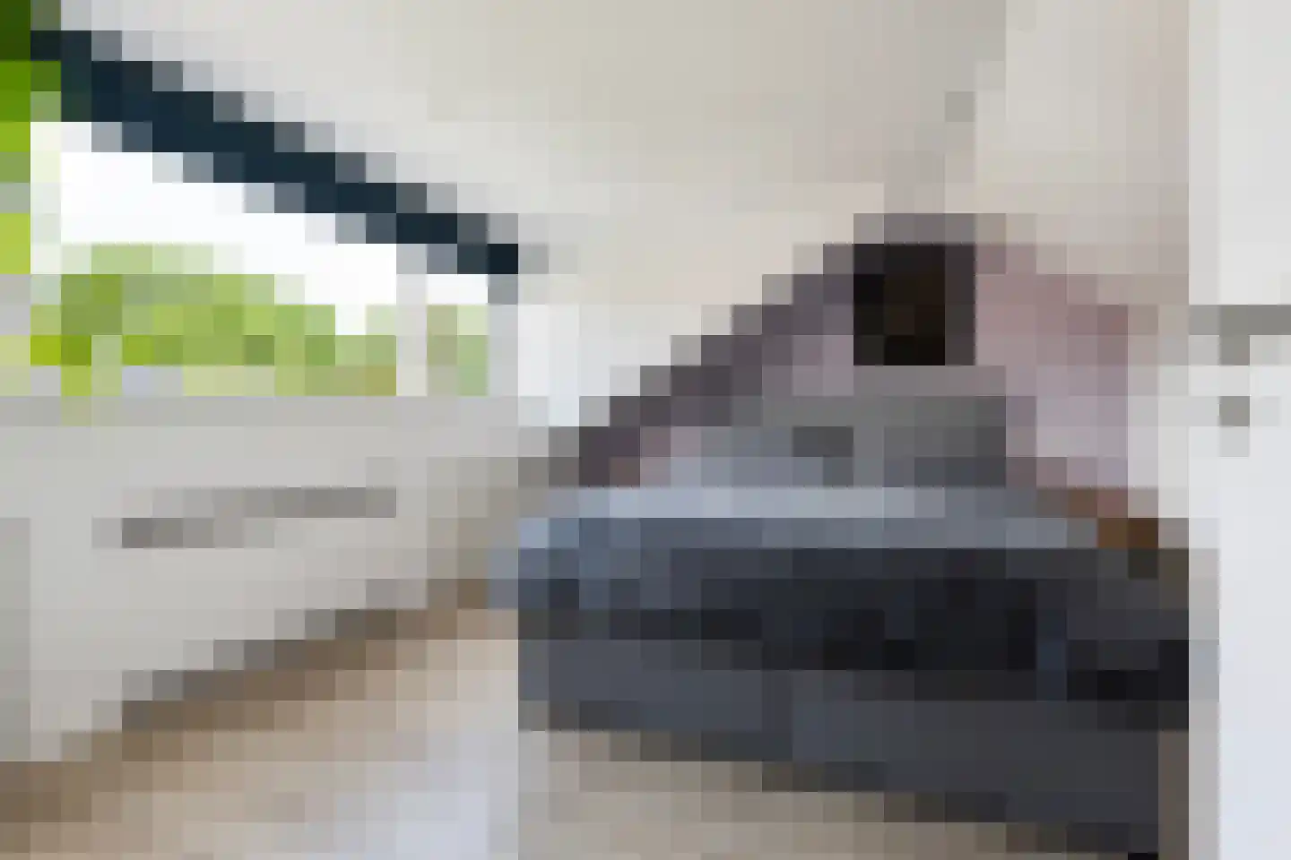 Nachtegaallaan 45 Rotterdam thumbnail 15