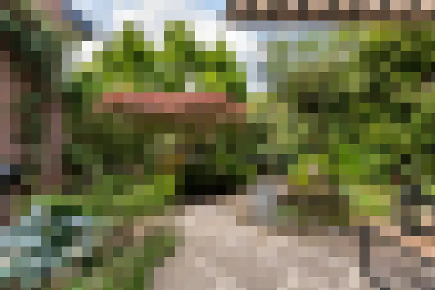 Nachtegaallaan 45 Rotterdam thumbnail 16