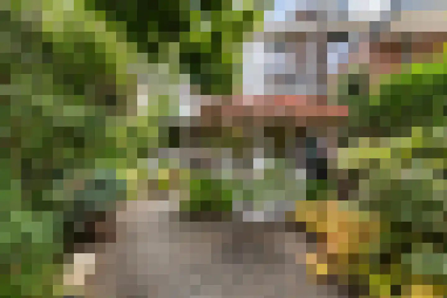 Nachtegaallaan 45 Rotterdam thumbnail 19