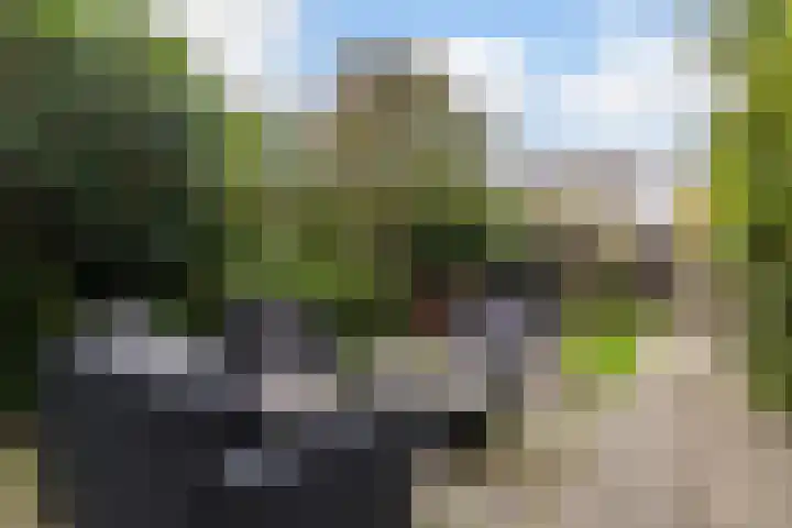 Nachtegaallaan 47 Rotterdam thumbnail 10