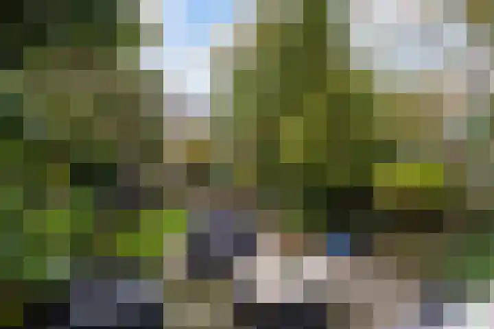 Nachtegaallaan 47 Rotterdam thumbnail 11
