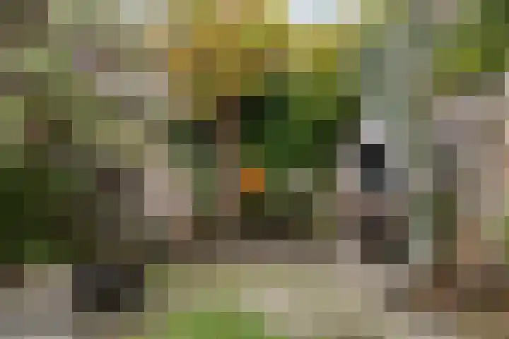 Nachtegaallaan 47 Rotterdam thumbnail 12
