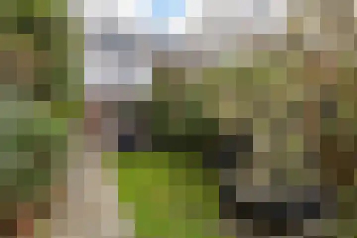 Nachtegaallaan 47 Rotterdam thumbnail 13