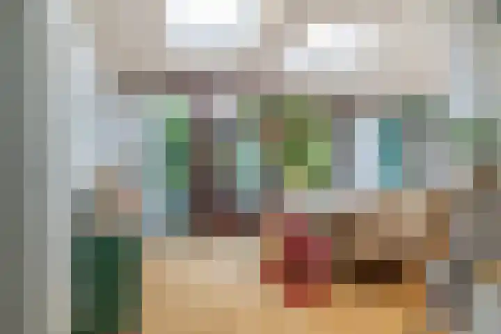 Nachtegaallaan 47 Rotterdam thumbnail 9