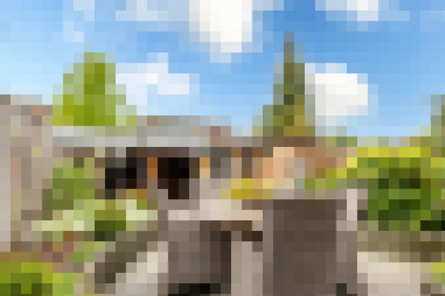 Nachtegaallaan 47 Sliedrecht thumbnail 26