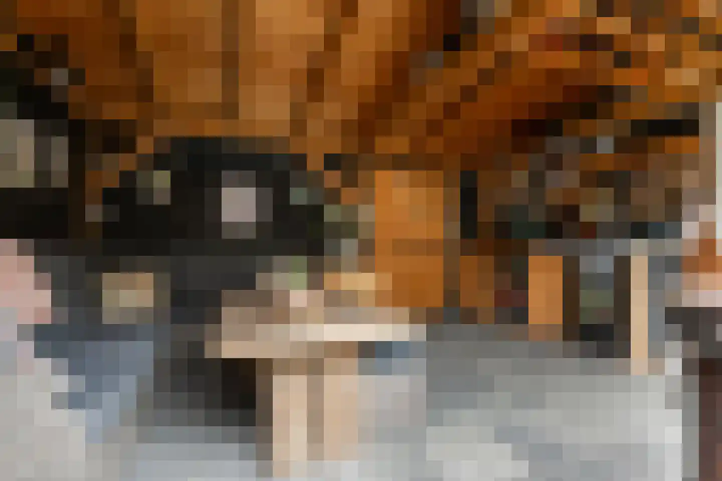 Nachtegaallaan 47 Sliedrecht thumbnail 31