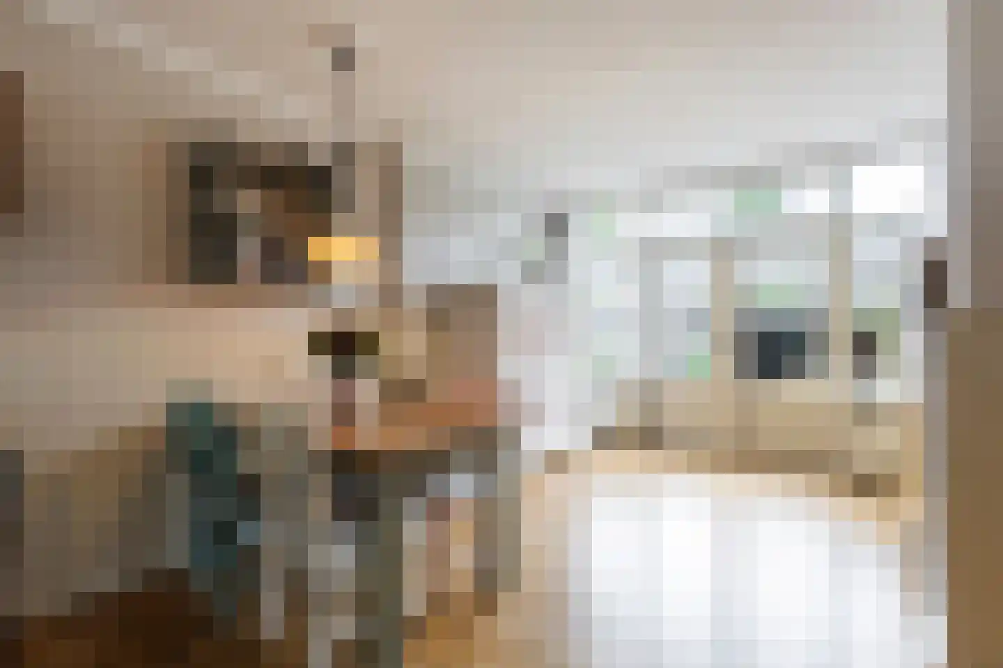 Nachtegaallaan 47 Sliedrecht thumbnail 6
