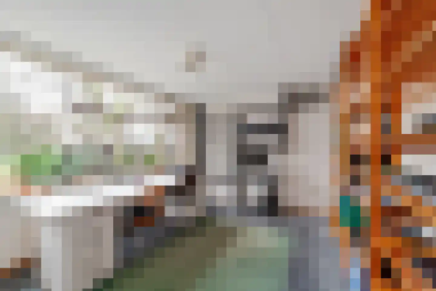 Nachtegaallaan 48 Maassluis thumbnail 24