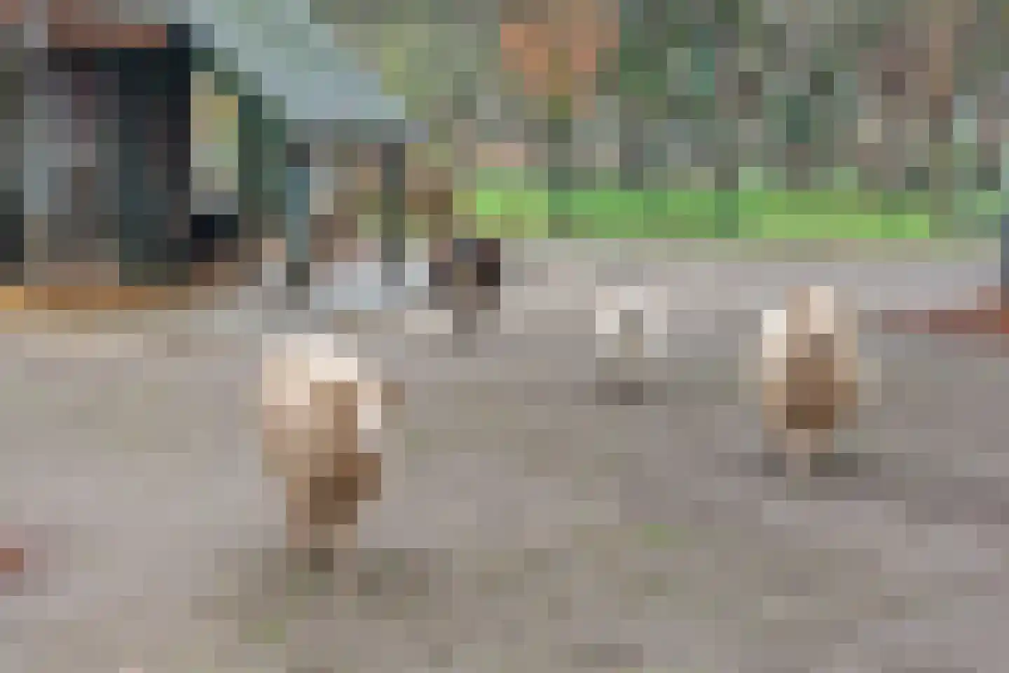 Nachtegaallaan 48 Maassluis thumbnail 37