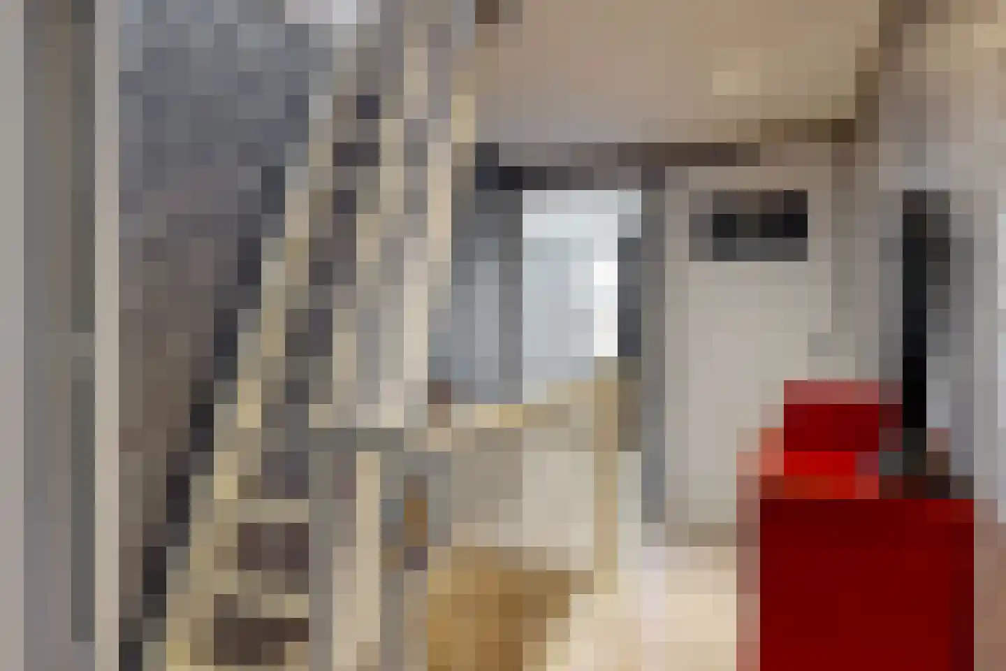 Nachtegaallaan 5 Tiel thumbnail 24
