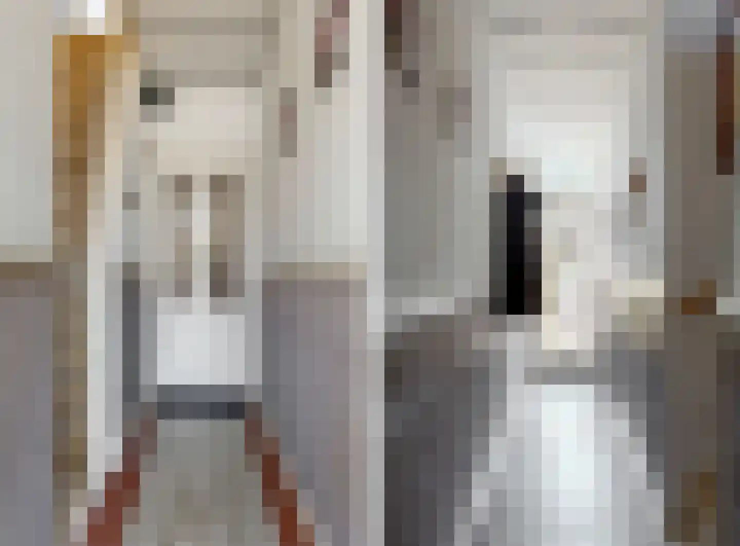 Nachtegaallaan 5 Tiel thumbnail 4